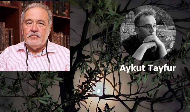 Çanakkale, Zeytin Ağaçları ve Bütün Bir Vatan Toprağı Sana Minnettardır. 